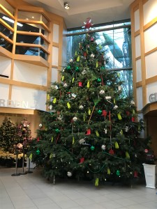 gigantic tree at the botanical gardens lobby